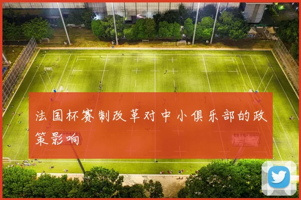 法国杯赛制改革对中小俱乐部的政策影响