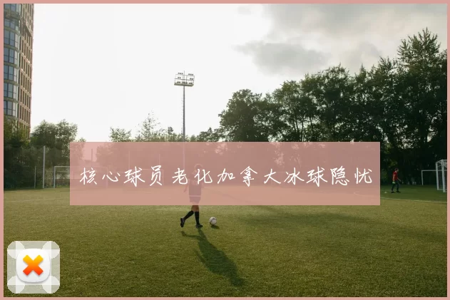 核心球员老化加拿大冰球隐忧