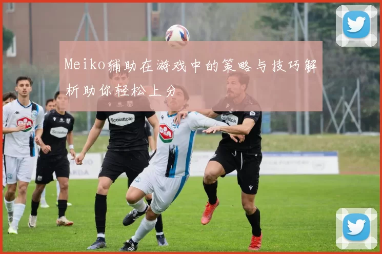 Meiko辅助在游戏中的策略与技巧解析助你轻松上分