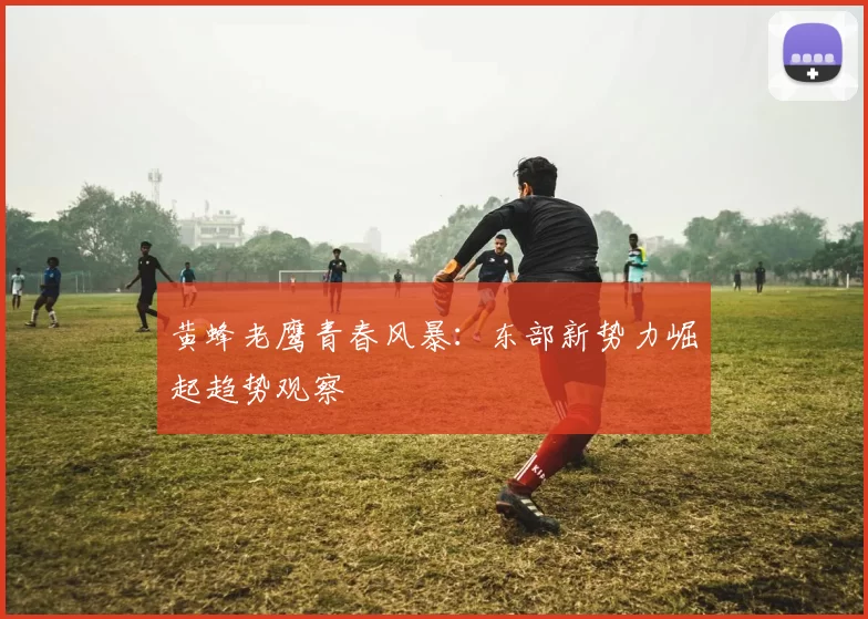 黄蜂老鹰青春风暴：东部新势力崛起趋势观察