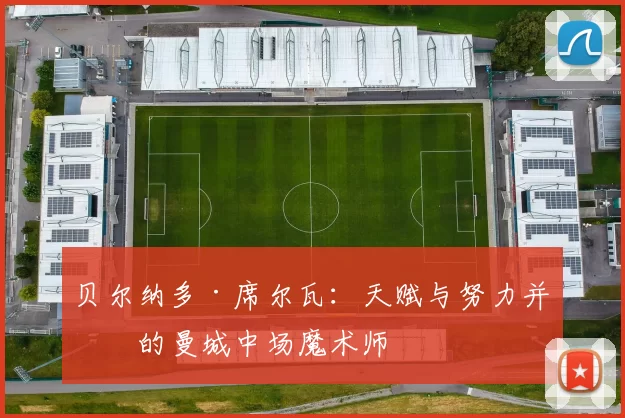 贝尔纳多·席尔瓦：天赋与努力并存的曼城中场魔术师