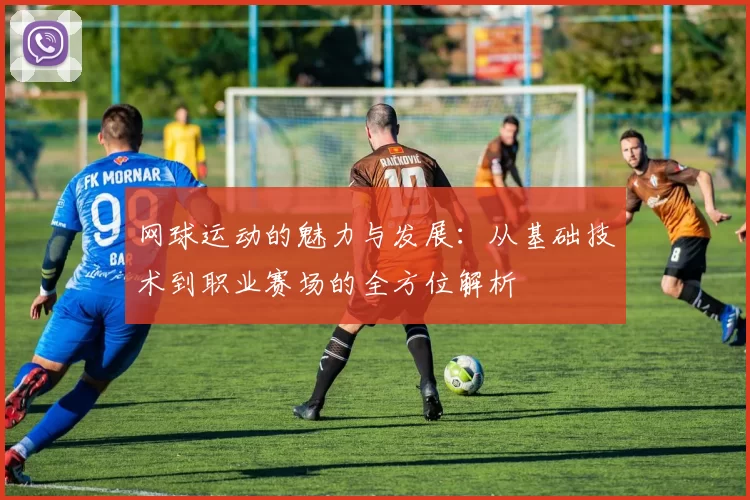 网球运动的魅力与发展：从基础技术到职业赛场的全方位解析